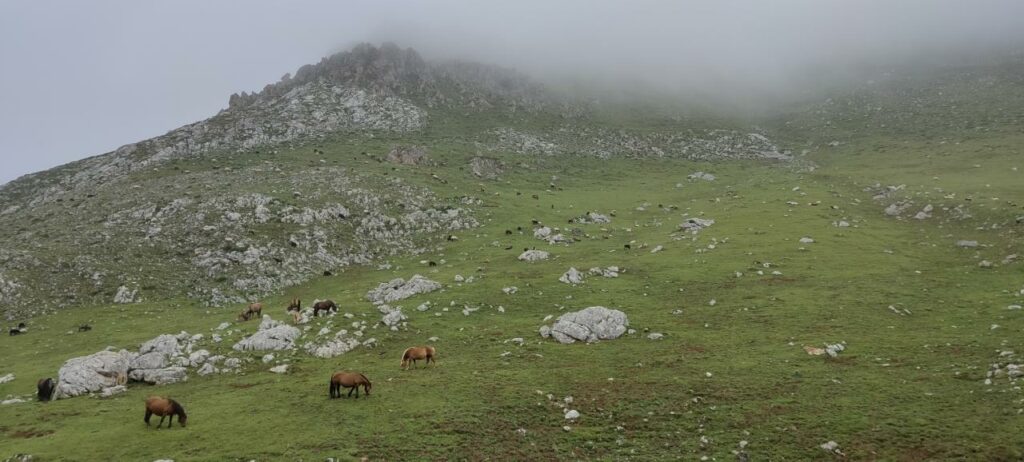 National Parc of Picos d'Europa